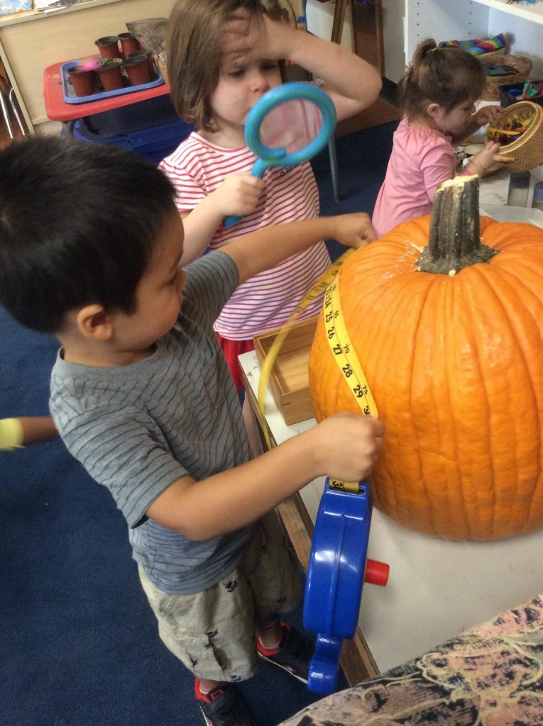 Pumpkin Exploration! - CV Preschool