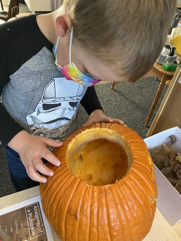 Preschool and TK Classroom pumpkin seeds