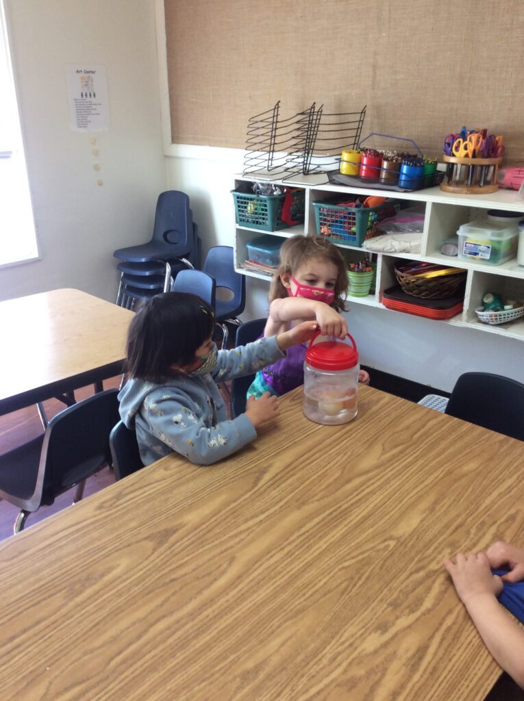 preschool science