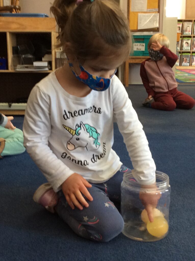 preschool science